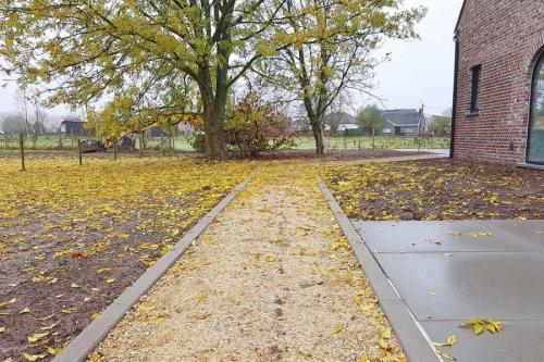 Tuin in aanleg