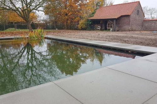 Tuin in aanleg