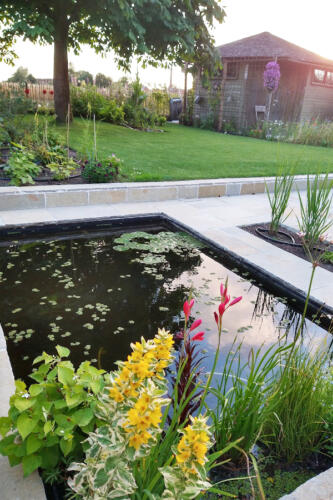 Foto tuin